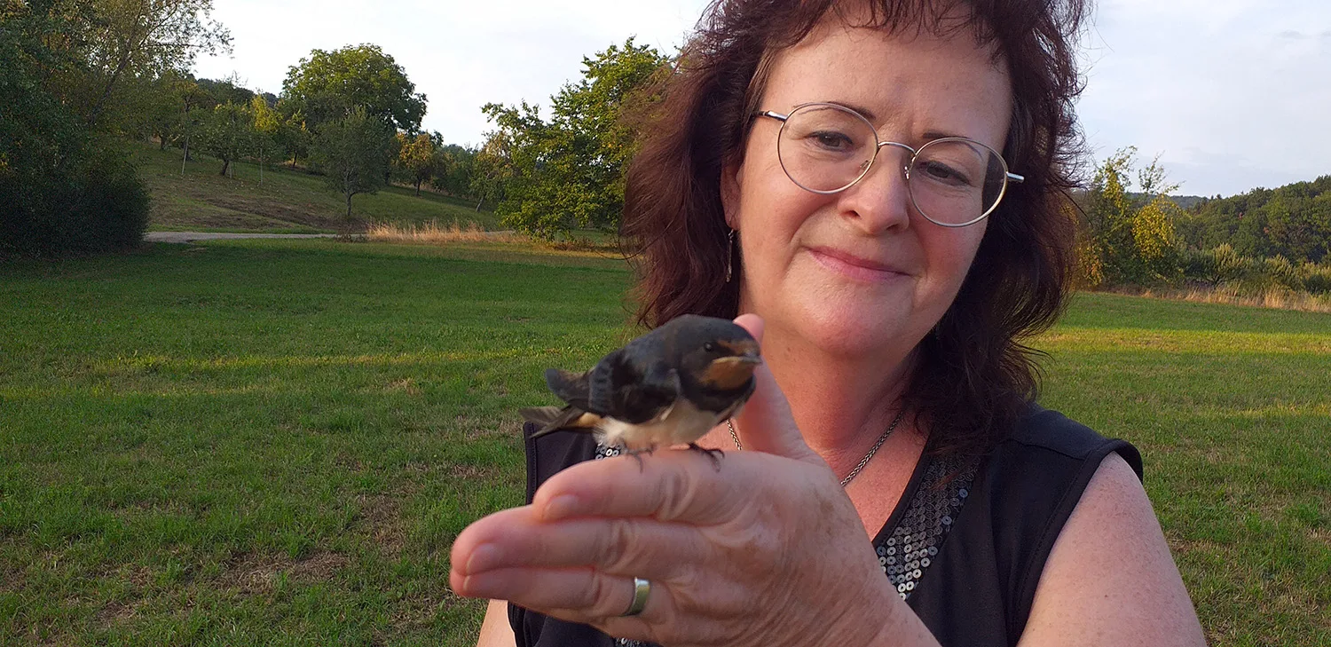 Evy mit Rauchschwalbe im Vogelhaus Evy