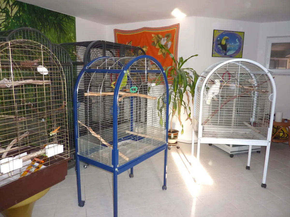 Papageienzimmer 167 im Vogelhaus Evy