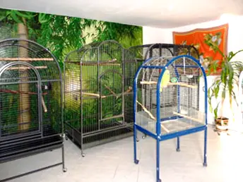 Unser Papageienzimmer im Vogelhaus Evy